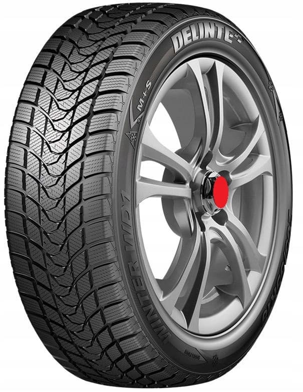Delinte Winter WD1 195/55 15 85H  
