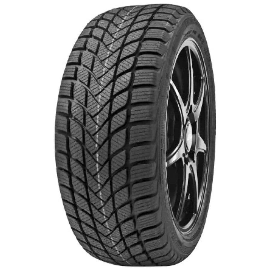 Delinte Winter WD6 205/50 R17 93H  